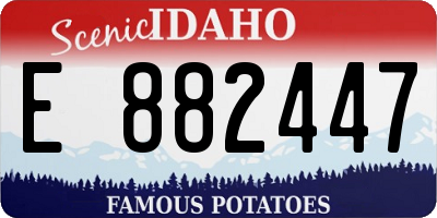 ID license plate E882447