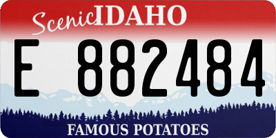 ID license plate E882484