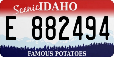 ID license plate E882494