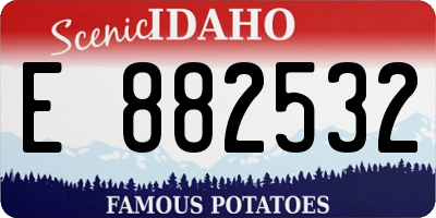 ID license plate E882532