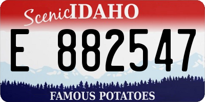 ID license plate E882547