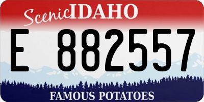 ID license plate E882557
