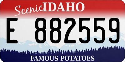 ID license plate E882559