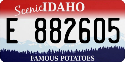 ID license plate E882605