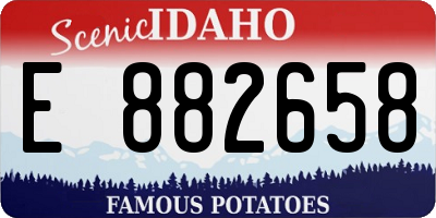 ID license plate E882658