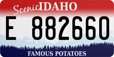 ID license plate E882660