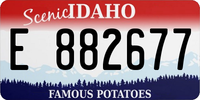 ID license plate E882677