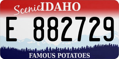 ID license plate E882729
