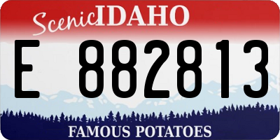 ID license plate E882813
