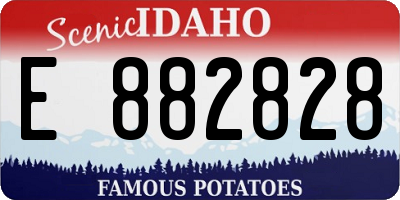 ID license plate E882828