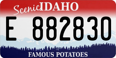 ID license plate E882830