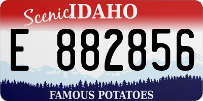 ID license plate E882856