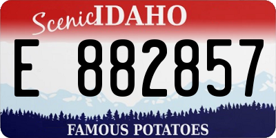 ID license plate E882857