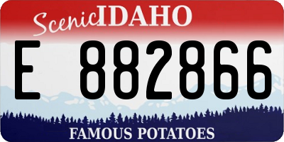 ID license plate E882866