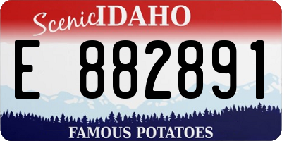 ID license plate E882891