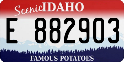 ID license plate E882903