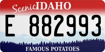 ID license plate E882993