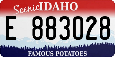 ID license plate E883028