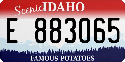 ID license plate E883065