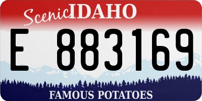 ID license plate E883169