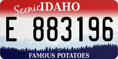 ID license plate E883196