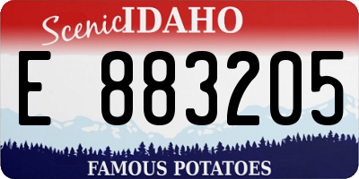 ID license plate E883205