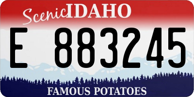 ID license plate E883245