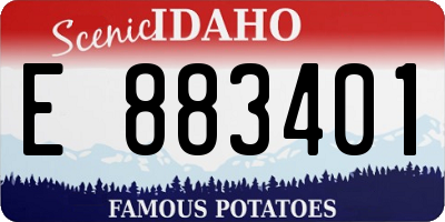 ID license plate E883401