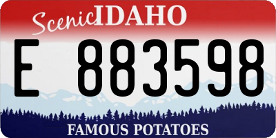 ID license plate E883598