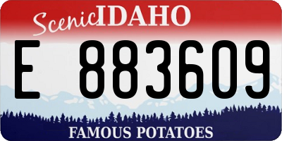 ID license plate E883609