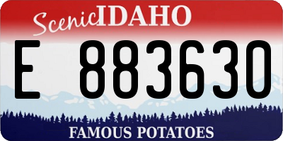 ID license plate E883630
