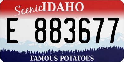 ID license plate E883677