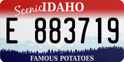 ID license plate E883719