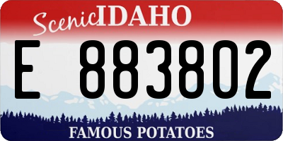 ID license plate E883802
