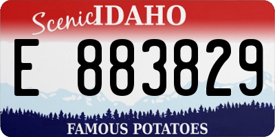 ID license plate E883829