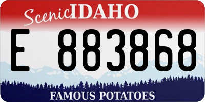 ID license plate E883868