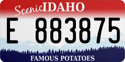 ID license plate E883875