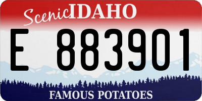 ID license plate E883901