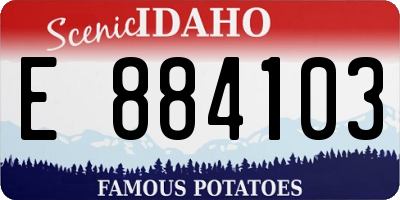 ID license plate E884103