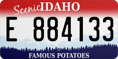 ID license plate E884133