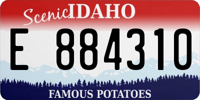 ID license plate E884310