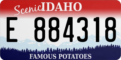 ID license plate E884318