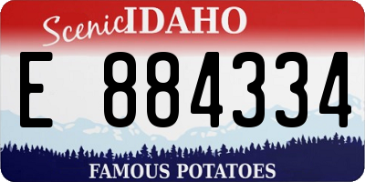 ID license plate E884334