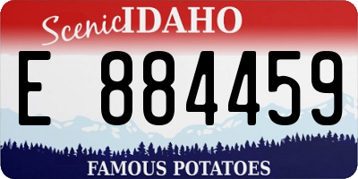 ID license plate E884459