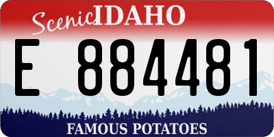 ID license plate E884481