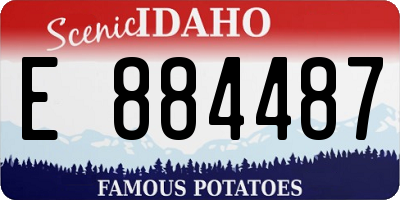 ID license plate E884487