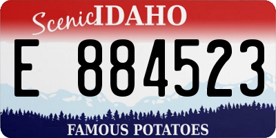 ID license plate E884523
