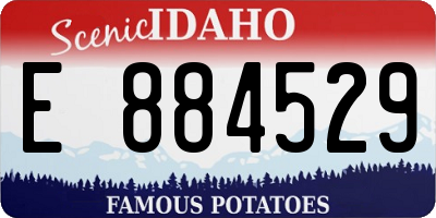 ID license plate E884529
