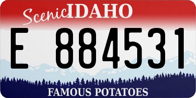 ID license plate E884531