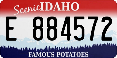 ID license plate E884572